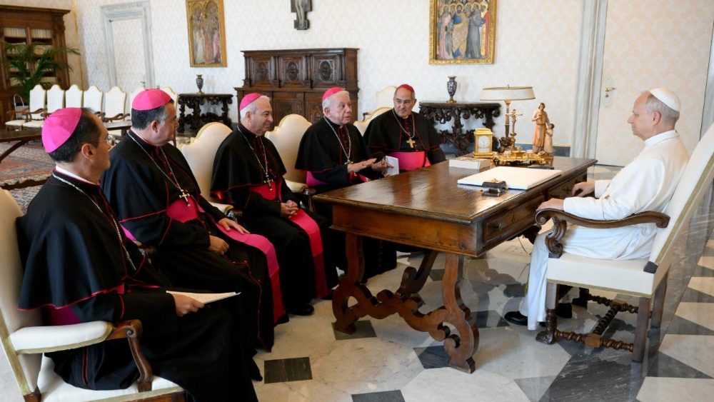 La Leon XIV, Consiliul prezidiului Conferinței episcopale mexicane