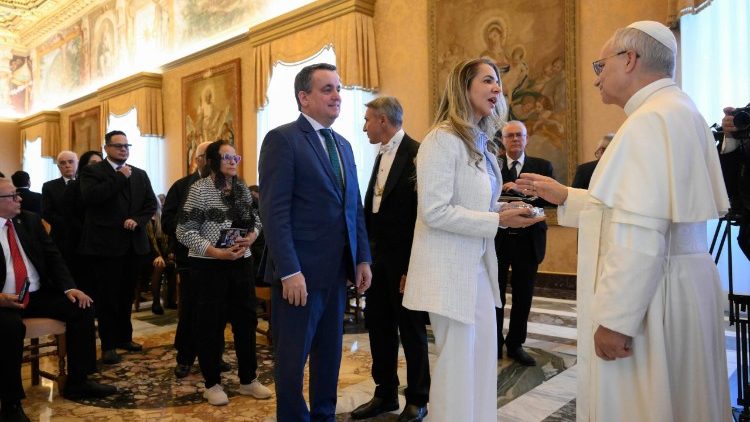 Shrikisho la Madaktari bara la Amerika Kusini