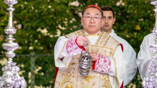  Cardinal Kikuchi: &laquo;L’&Eacute;glise en Asie vit des r&eacute;alit&eacute;s diverses, mais une seule foi&raquo;