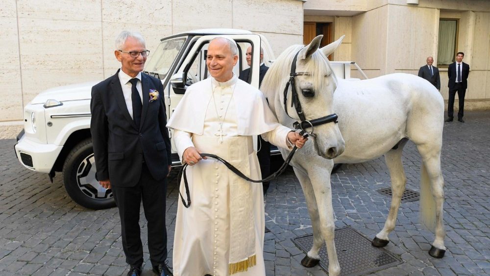 În dar papei Leon XIV, un cal pursânge arab