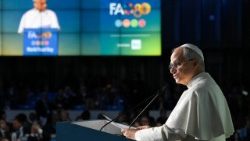 Popiežius FAO