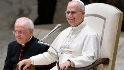 2025.10.18 Partecipanti al Giubileo dei Rom, Sinti e Camminanti