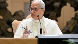 Popiežius kalba sinodo komandoms 2025 10 24