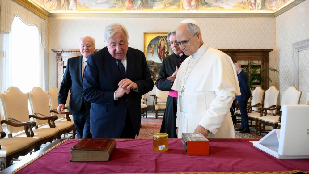 La Leon al XIV-lea, președintele Senatului Franței, Gérard Larcher. 