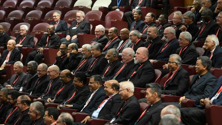 Wanashirika wa Yesu wakikutana na Papa Leo 