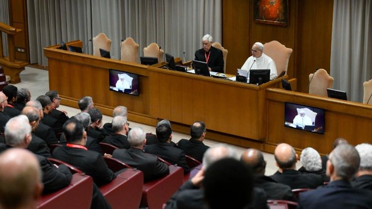 ഈശോ സഭയിലെ മേജർ സുപ്പീരിയർമാരുമായി ലിയോ പതിനാലാമൻ പാപ്പാ കൂടിക്കാഴ്ച്ച നടത്തുന്നു 