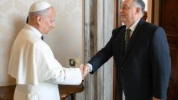 Fotogalerie z audience