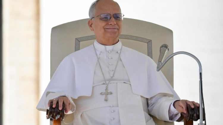 ലിയോ പതിനാലാമൻ പാപ്പാ - പൊതുകൂടിക്കാഴ്ചാസമ്മേളനത്തിൽനിന്നുള്ള ഒരു ചിത്രം