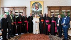 Papa Leão XIV durante a audiência desta manhã no Vaticano