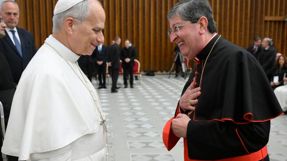 Аўдыенцыя для ўдзельнікаў кангрэса “Містыка, містычныя з’явы і святасць”