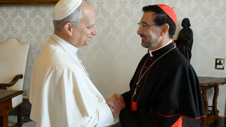 XIV. Le&oacute; p&aacute;pa az audienci&aacute;n