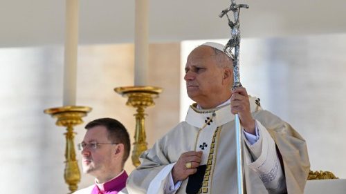 Святы Айцец: неадкладна вызваліць заложнікаў у Нігерыі і Камеруне