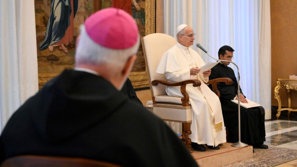 Аўдыенцыя для членаў ордэна Слугаў Марыі