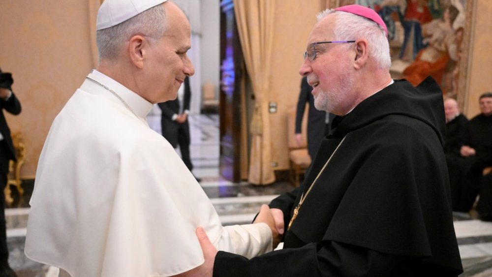 Аўдыенцыя для членаў ордэна Слугаў Марыі