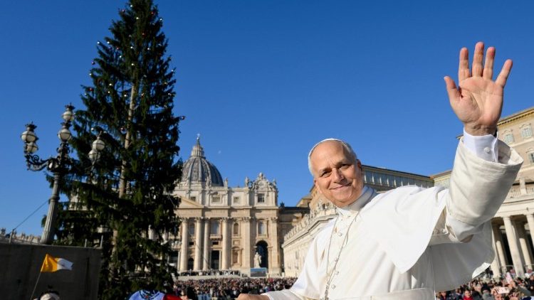 Pope Leo during the General Audience