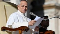 2025.12.10 Udienza Generale