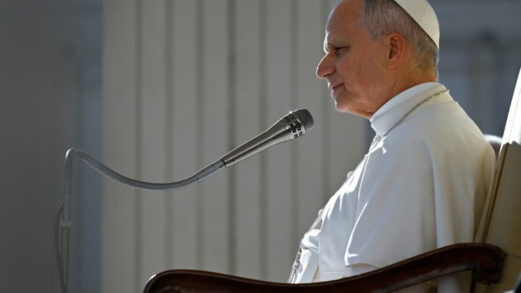 El Papa en la catequesis de este mi&eacute;rcoles