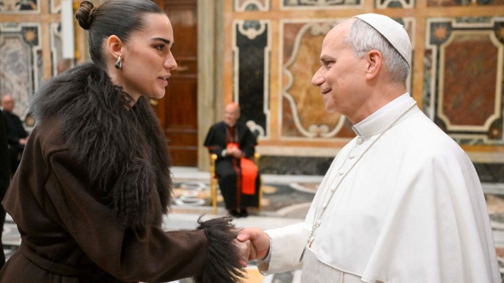 Аўдыенцыя для ўдзельнікаў "Каляднага канцэрта"