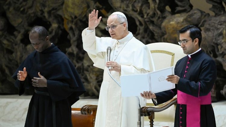 Leon XIV la audiența cu donatorii Bradului și Ieslei de Crăciun din Vatican