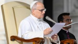 Леў XIV падчас юбілейнай аўдыенцыі ў Ватыкане