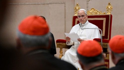 Leo XIV. fordert „missionarische Umgestaltung“ der Kurie