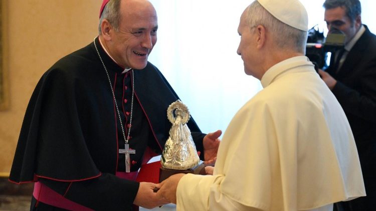 Pope Leo greets a bishop during the audience with pilgrims from Spain