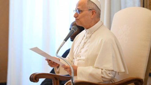 വിശ്വാസത്തിന്റെ തീർത്ഥാടകരും സമാധാനത്തിന്റെയും അനുരഞ്ജനത്തിന്റെയും സൃഷ്ടാക്കളുമാകാൻ തൈസെ സമൂഹത്തെ ആഹ്വാനം ചെയ്‌ത്‌ ലിയോ പതിനാലാമൻ പാപ്പാ