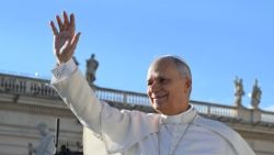 2025.12.31 Papież podczas audiencji ogólnej