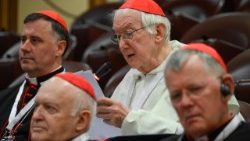  Kardinolas T. Radcliff’as OP skaito meditaciją neeilinės konsistorijos dalyviams