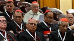 Кардынал Цімаці Рэдкліф прамаўляе падчас кансісторыя