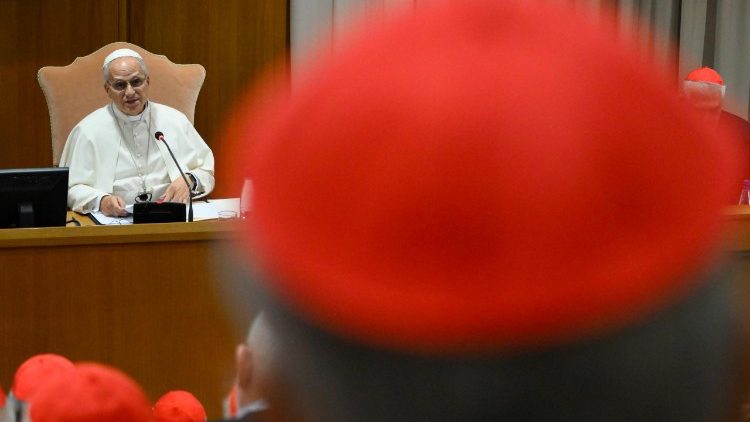 Papa je održao govor kojim je započeo konzistorij