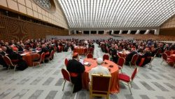 Дискусии по групи на извънредния консисторий