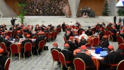 臨時枢機卿会議・第1セッション　2026年1月7日　バチカン・パウロ6世ホール