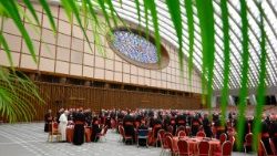 Participanți la consistoriul extraordinar convocat de Leon al XIV-lea în zilele 7-8 ianuarie 2026
