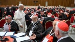 Đức Thánh Cha Lêô XIV và các Hồng y trong một phiên họp của Công nghị Ngoại thường (8/1/2026)