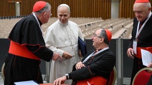 Papież zapowiedział kolejne konsystorze. Najbliższy w czerwcu