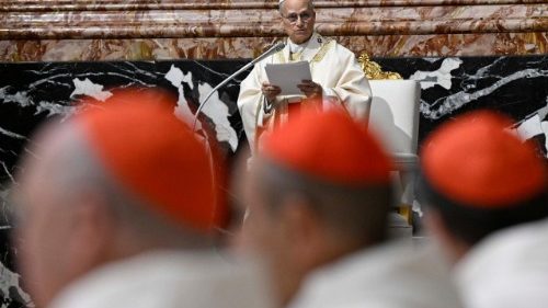 Wortlaut: Papstpredigt bei Messfeier in St. Peter