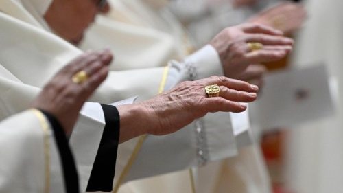 Kardinal Brandm&uuml;ller f&uuml;r liturgischen Waffenstillstand