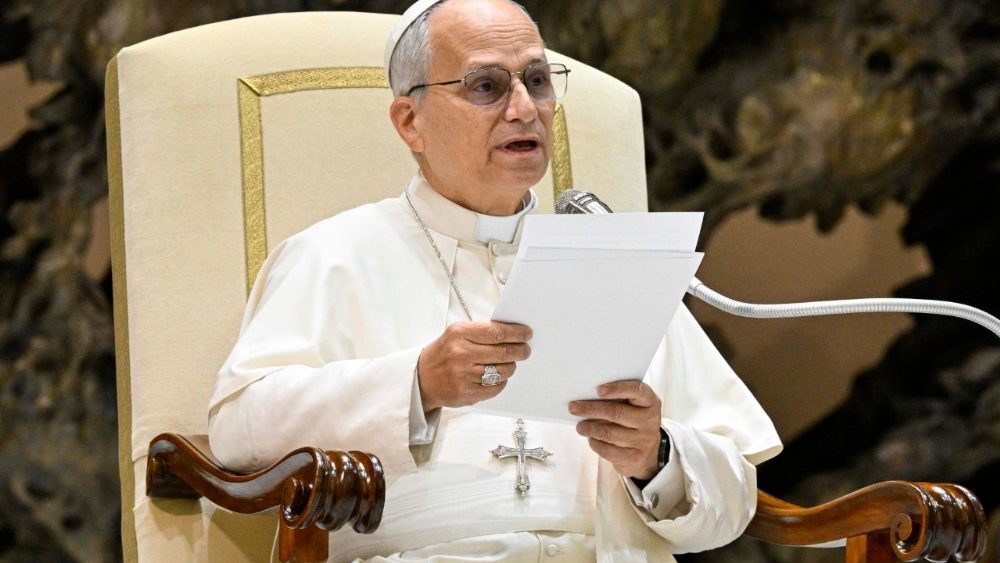 Аўдыенцыя для арганізатараў і валанцёраў Юбілейнага года