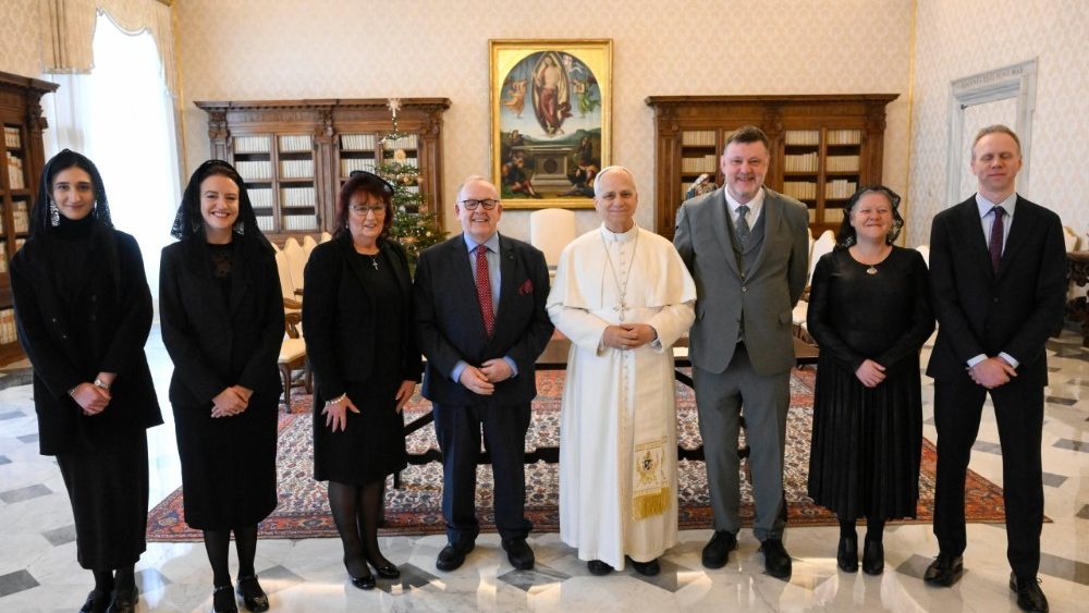 La Leon XIV, delegația Comitetului Economic și Social European condusă de Seamus Boland