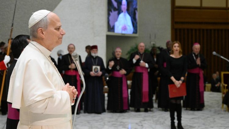 Papst Leo XIV. bei der Generalaudienz