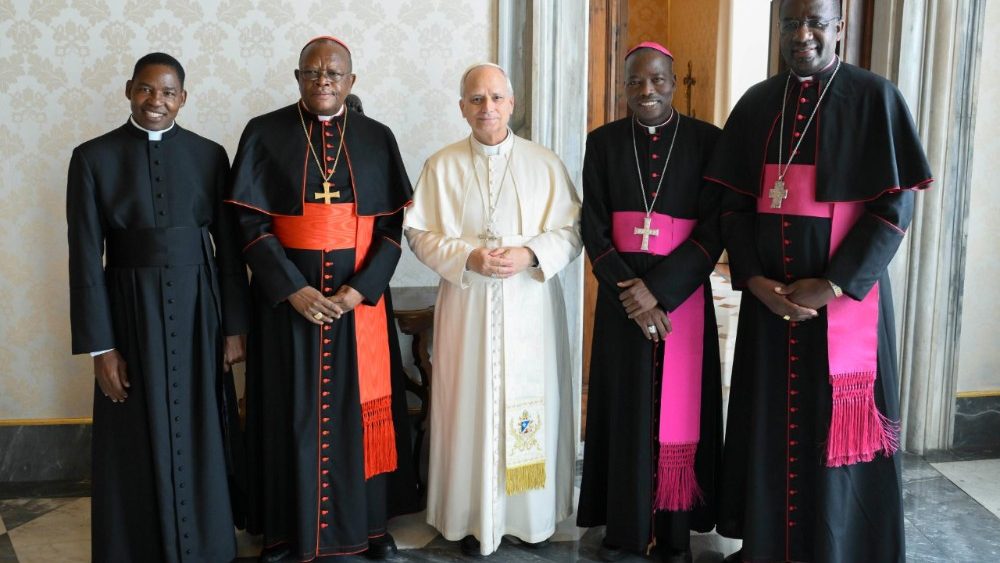 La papa Leon XIV, membrii prezidiului Simpozionului Conferințelor Episcopale din Africa și Madagascar (SECAM)