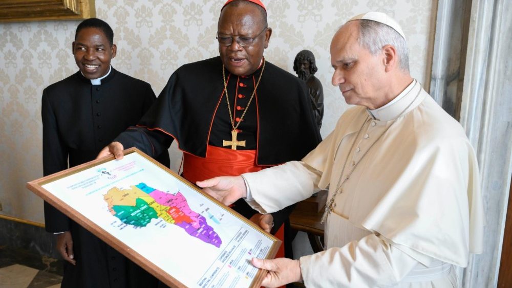 La papa Leon XIV, membrii prezidiului Simpozionului Conferințelor Episcopale din Africa și Madagascar (SECAM)
