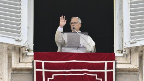 Wortlaut: Papst Leo beim Angelus am 18.1.2026