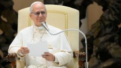 2026.01.21 Udienza Generale