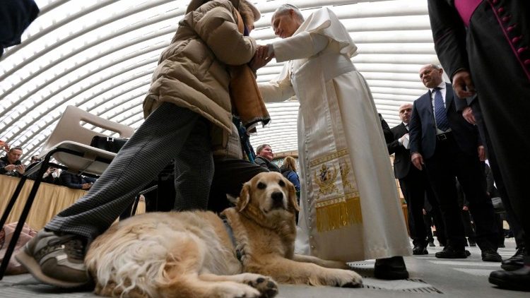 La fotogallery dell'udienza generale
