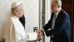 El Papa León XIV recibe al presidente nacional de la Acción Católica Italiana, Giuseppe Notarstefano