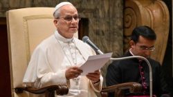 Papa Leone XIV (foto d'archivio)