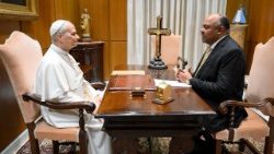 2026.01.28 Papa amekutana na Balozi Thabit Kombo,Waziri wa Mambo ya Nje wa Tanzania.