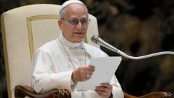 2026.01.28 Udienza Generale